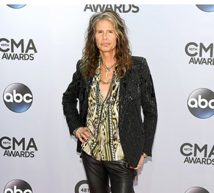 Steven Tyler CMAs Red Carpet 2014