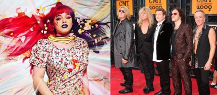 Editorial rose petals