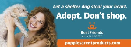 06LUSadv-busboardside